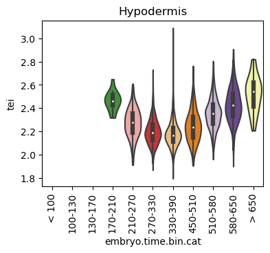 ../_images/notebooks_nematode_example_59_24.png