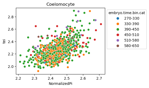 ../_images/notebooks_nematode_example_65_22.png