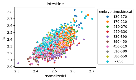 ../_images/notebooks_nematode_example_65_8.png