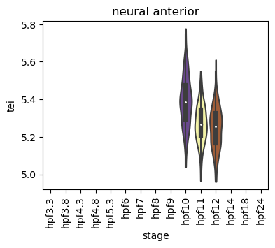 ../_images/notebooks_zebrafish_example_55_0.png
