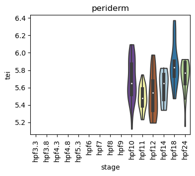 ../_images/notebooks_zebrafish_example_55_10.png