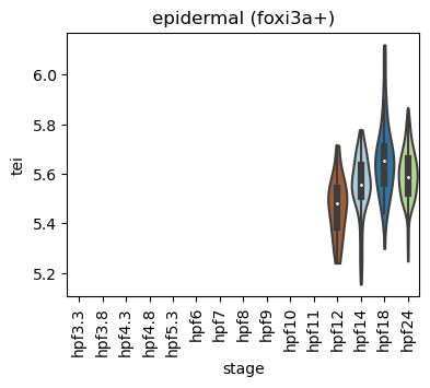 ../_images/notebooks_zebrafish_example_55_14.png