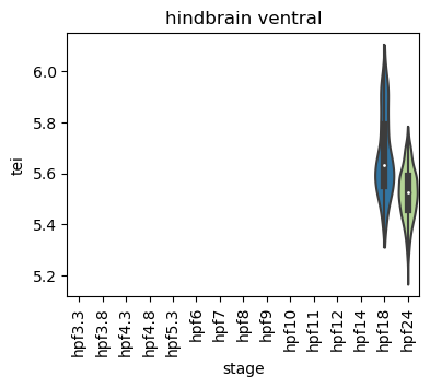 ../_images/notebooks_zebrafish_example_55_15.png