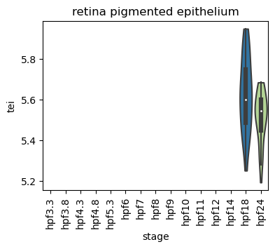 ../_images/notebooks_zebrafish_example_55_17.png