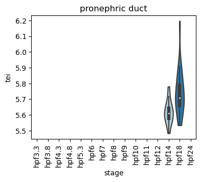 ../_images/notebooks_zebrafish_example_55_19.png