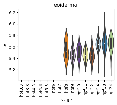 ../_images/notebooks_zebrafish_example_55_20.png