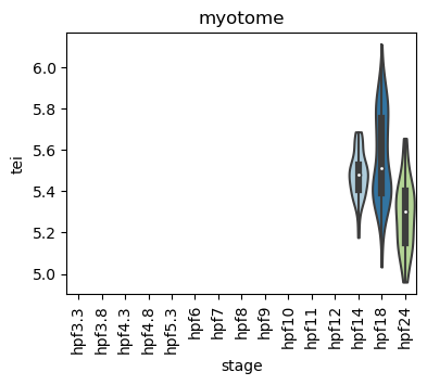 ../_images/notebooks_zebrafish_example_55_22.png