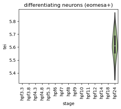 ../_images/notebooks_zebrafish_example_55_25.png