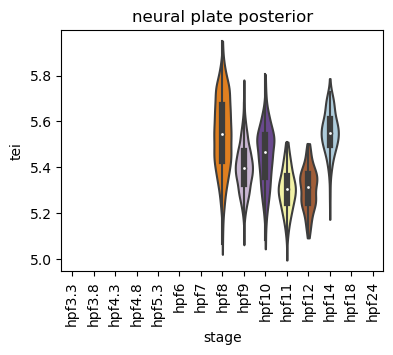 ../_images/notebooks_zebrafish_example_55_26.png