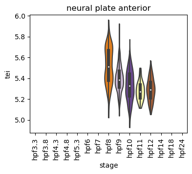../_images/notebooks_zebrafish_example_55_37.png