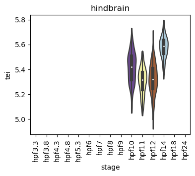 ../_images/notebooks_zebrafish_example_55_5.png