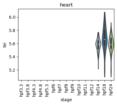 ../_images/notebooks_zebrafish_example_55_50.png