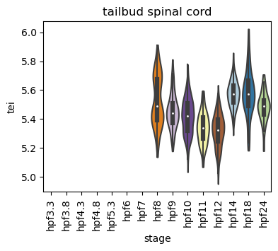 ../_images/notebooks_zebrafish_example_55_51.png