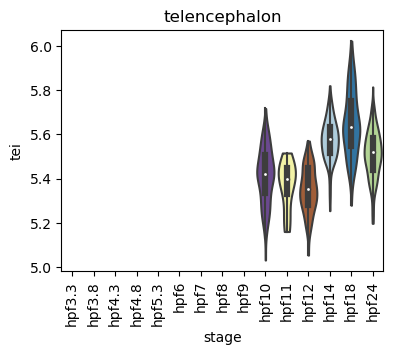../_images/notebooks_zebrafish_example_55_56.png