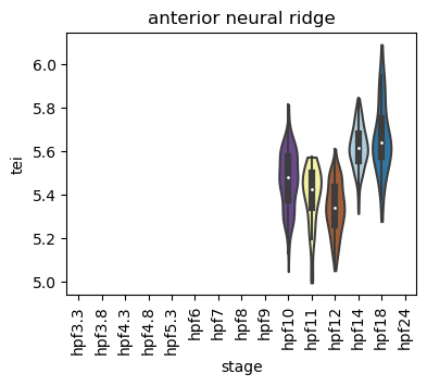 ../_images/notebooks_zebrafish_example_55_57.png