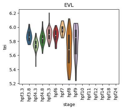 ../_images/notebooks_zebrafish_example_55_59.png