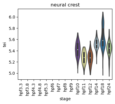 ../_images/notebooks_zebrafish_example_55_6.png