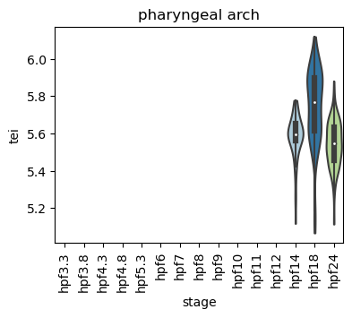 ../_images/notebooks_zebrafish_example_55_61.png