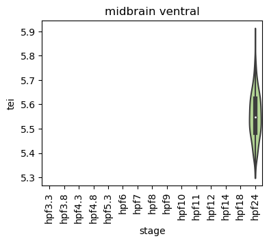 ../_images/notebooks_zebrafish_example_55_7.png
