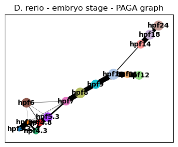 ../_images/notebooks_zebrafish_example_84_0.png